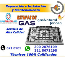 Tecnielectrogas. Servicio a domicilio, mantenimiento, reparación e instalación para sus gasodomesticos calentadores, estufas, hornos a gas y eléctricos, chimeneas a gas, calefactores de ambiente asadores BBQ, especializado  en  todas las marcas challenger, sueco, shimasu, longive, digues, classic, smartec, Bosch,  mabe, haceb, centrales, Barrio Cedritos, norte de Bogotá.  MANTENIMIENTO DE NEVERAS, LAVADORAS Y SECADORAS.  Servicio técnico especializado en el mantenimiento y reparación de lavadoras, digitales y manuales de todas las marcas, Whirlpool, Samsung, LG, mabe, haceb, centrales, general electic, firgidaire, Electrolux, challenger, lavadoras de carga frontal, lavadoras antiguas, tecnología inverter.