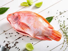 Pinal Alimentos Congelados y mucho más.  Venta de pescados, Salmón, Tilapia, Trucha, róbalo, Mojarra, mariscos, Bagre, atún, Camarón crudo, Palmitos, cangrejo, Cazuela, Conchas, Anillos de calamar, Papas francesa congeladas, Langostinos en el barrio Cedritos norte Bogotá.  Servicio a domicilio.