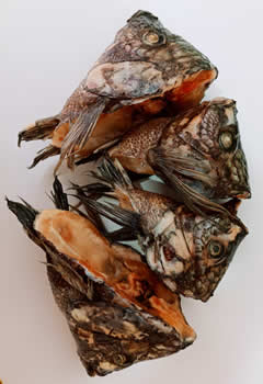 Pinal Alimentos Congelados y mucho más.  Venta de pescados, Salmón, Tilapia, Trucha, róbalo, Mojarra, mariscos, Bagre, atún, Camarón crudo, Palmitos, cangrejo, Cazuela, Conchas, Anillos de calamar, Papas francesa congeladas, Langostinos en el barrio Cedritos norte Bogotá.  Servicio a domicilio.